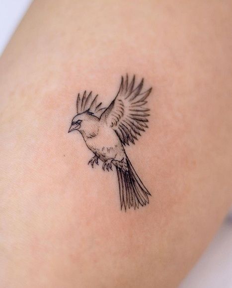 15+ Cardinal Tattoo Designs to Symbolize Love and Hope Black Ink Cardinal Tattoo, Black And Gray Cardinal Tattoo, Delicate Cardinal Tattoo, Mens Cardinal Tattoo, Cardinal In Flight Tattoo, Cardinal Hand Tattoo, Northern Cardinal Tattoo, Realistic Cardinal Tattoo, Cardinal And Hummingbird Tattoo