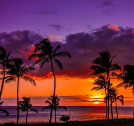 Have you ever thought that your name doesn't suit you?  Find out what you really should have been named! Purple Sunset, The Sunset, Orange And Purple, The Ocean, Palm Trees, Hawaii, Trees, Orange, Purple