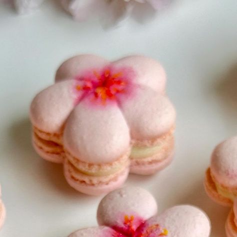 Linda on Instagram: "Happy Friday! These 🌸Cherry blossom macarons were filled with lychee ganache and guava purée. #cherryblossom #macarons #sweets #dessert #yvrfoodie #yvreats #vancouverfoodie #vancouver" Cherry Blossom Macarons, Japanese Macarons, Lychee Macarons, Cherry Blossom Dessert, Flower Macarons, Easter Buffet, Plated Dessert, Cakes Pastries, Japanese Desserts