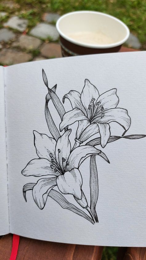 Flower Drawing Pencil Sketches, Flower Ink Illustration, Grunge Flowers Drawing, Ink Pen Flowers, Pen Drawings Of Flowers, Drawing Line Art Sketch, Sketch Flowers Pencil, Flower Pencil Drawings Sketches, Biro Drawing Flower