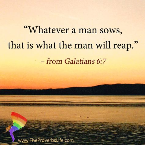 You Will Reap What You Sow, We Reap What We Sow Quotes, You Reap What You Sow, You Reap What You Sow Quotes, Reap What You Sow Quotes, You Reap What You Sow Quotes Bible, You Reap What You Sow Bible Verse, Reap What You Sow Quotes Bible, Bible Verse About Bad Attitude