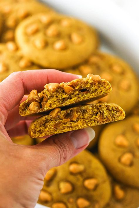 These Pumpkin Butterscotch Chip Cookies are the perfect pumpkin cookie! They are dense and chewy (not cakey!) and full of flavor! The butterscotch chips go perfectly with the pumpkin. Pumpkin Butterscotch Cookies, Butterscotch Chip, Butterscotch Chip Cookies, Pumpkin Butterscotch, Butterscotch Cookies, Pumpkin Cookie, Butterscotch Chips, Chips Recipe, No Sugar Foods