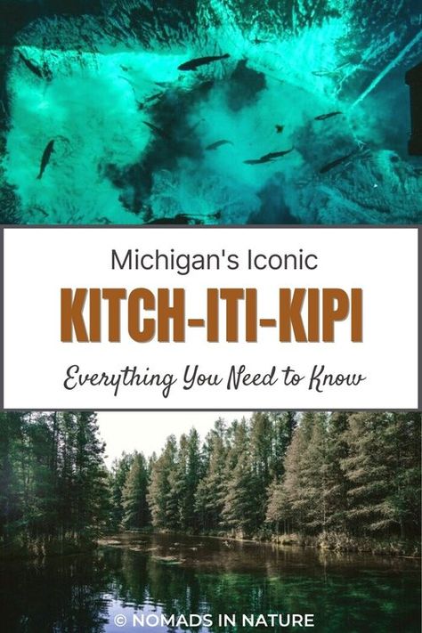 Places To Visit In Michigan, Michigan Bucket List, Michigan Waterfalls, Michigan Travel Destinations, Limestone Floor, Water Spring, Lake Trout, Upper Michigan, Upper Peninsula Michigan