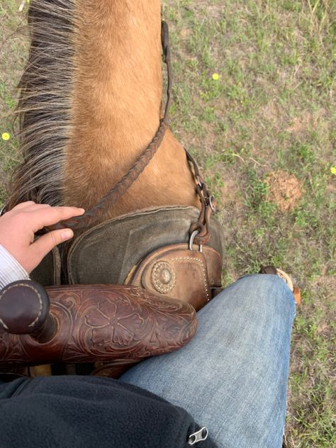 Rustic Lifestyle Aesthetic, Horses Western Aesthetic, Horse Training Aesthetic, Western Ranch Aesthetic, Western Fall Aesthetic, Country Core Aesthetic, Western Riding Aesthetic, Western Horse Riding Aesthetic, Modern Cowboy Aesthetic