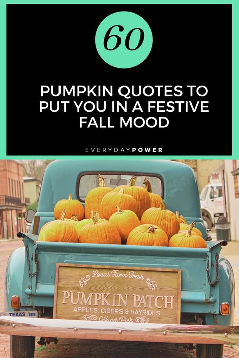 Let's spice up our autumn with these delightful pumpkin quotes! 🍂🎃 Explore the warmth, joy, and flavors of the season. Dive into the world of pumpkins in this enchanting collection. #PumpkinQuotes #AutumnMagic #FallQuotes Pumpkin Quotes, Autumn Spirit, Pumpkin Carriage, Autumn Magic, Autumn Quotes, Ray Bradbury, Pumpkin Head, Dinner Themes, Lady Bird