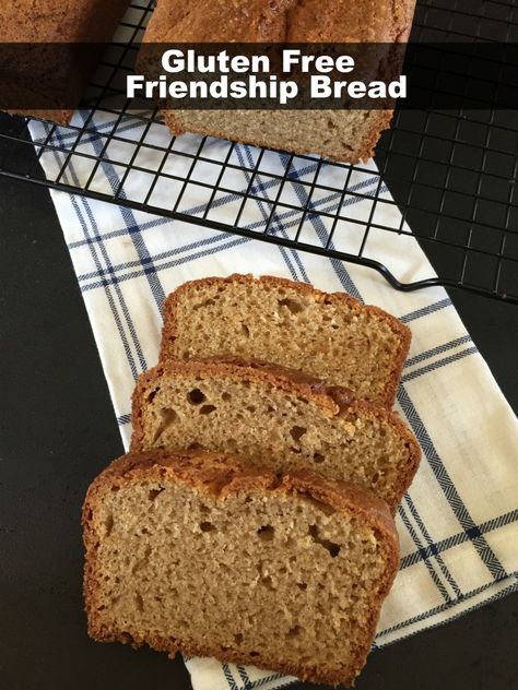 Friendship Bread Recipe, Gluten Recipes, Friendship Bread Starter, Amish Friendship Bread, Gf Cookies, Friendship Bread, Bread Starter, Breakfast Ingredients, Gluten Free Recipes Bread