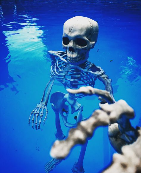 And this is why I don't go in the water. This and sharks. Sharks will kill you. #oxnardtheskeleton #skeleton #badtothebone Cartoon Skeleton, Skeleton Pics, Silly Skeleton, Deep Photos, Cool Skeleton, Funny Skeleton, Funny Times, Bad To The Bone, Spooky Scary