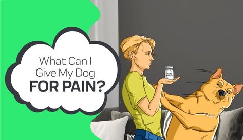 Natural Alternatives for your Dogs Pain | Innovet Pet Dog Safe Medications, Medicine Safe For Dogs, Aspirin For Dogs, Diy For Pets, Pain Medicine, Natural Pain Relievers, Medication For Dogs, Dog Remedies, Medical Questions