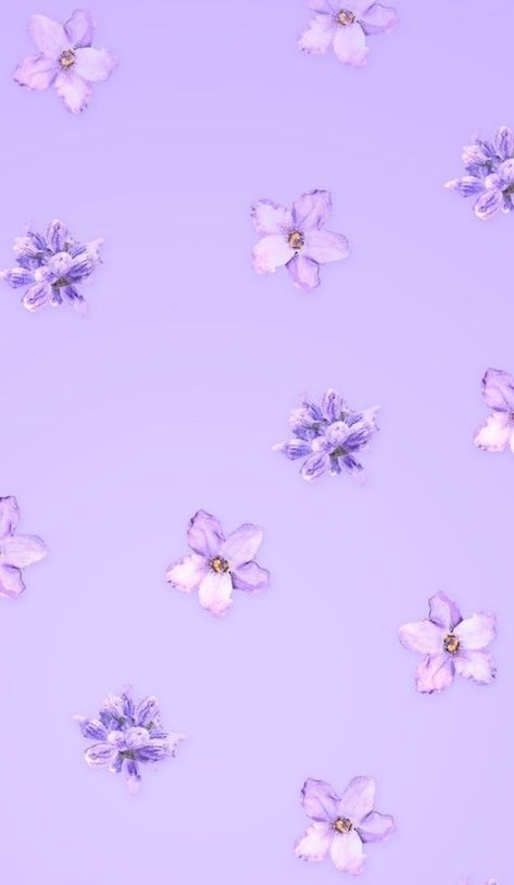 ✨𝚃𝚊𝚙𝚎𝚝𝚢✨ | Light purple wallpaper, Purple aesthetic background, Purple wallpaper phone Iphone Background Purple, Something Purple, Purple Glitter Wallpaper, 19 Wallpaper, Iphone Background Pink, Ipad Lockscreen, Light Purple Wallpaper, Light Purple Background, Watercolor Wallpaper Iphone