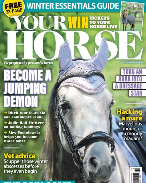 I’m a little behind the curve on this one (it’s been a crazy few weeks of pitching, writing and showing visitors around our little corner of the Cascade mountains!), but I’m pleased to finally share some new features with you. This three-part series has been published in @yourhorsemagazine over the last three months and shares @amyblountdressage’s expertise and top tips for improving dressage scores with non-typical breeds – think heavy horses, ponies and Arabs!   Amy is a is a BDCC level 3 D... Horse Magazine, Win Tickets, Horse Care, Magazine Subscription, Tips And Advice, Horse Love, Tv Entertainment, Practical Advice, Travel And Leisure