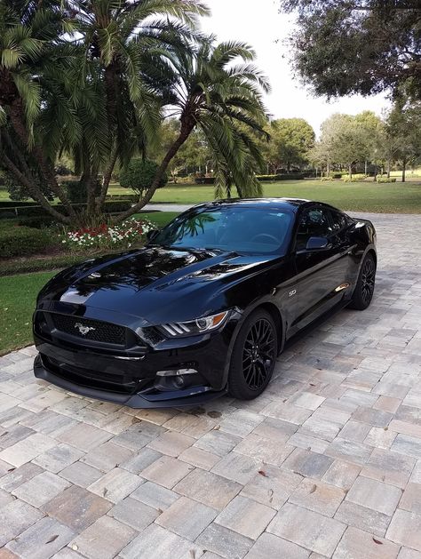 Siyah Mustang, Sports Cars Mustang, Mobil Mustang, Black Mustang, Aventador Lamborghini, Ford Mustang Car, Mustang Cars, Fancy Cars, Classy Cars