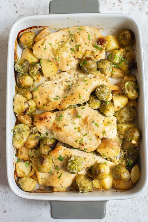 Dijon mustard chicken with Brussel sprouts - Easy Peasy Creative Ideas Chicken With Brussel Sprouts, Chicken And Brussel Sprouts, Dutch Oven Chicken Breast, Brussel Sprout Casserole, Dutch Oven Roast Chicken, Dijon Mustard Chicken, Chicken Brussel Sprouts, Oven Roasted Chicken Breast, Cream Of Mushroom Chicken