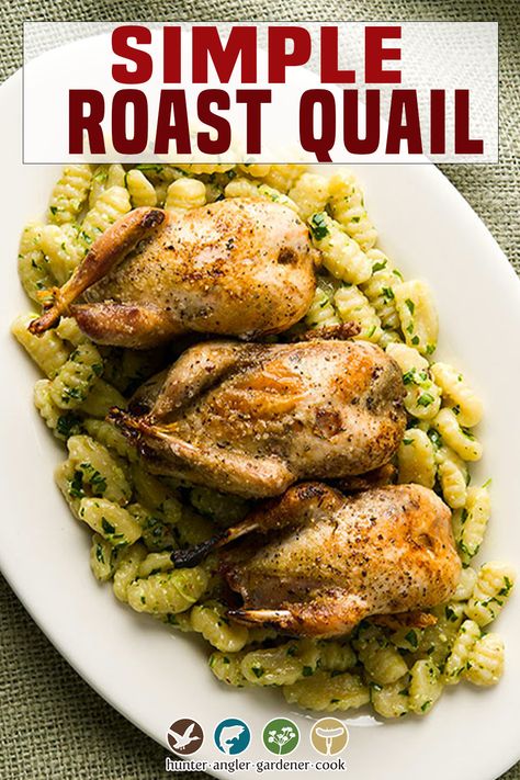 Quail Recipes With Gravy, Quale Bird Recipes, Cooking Quail Meat, Recipes For Quail, Oven Roasted Quail, Braised Quail Recipes, Oven Baked Quail Recipes, Crockpot Quail Recipes, Whole Quail Recipes