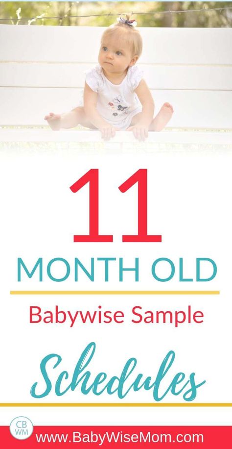 11 month old Babywise sample schedules. Sample schedules for an 11 month old using the Babywise method. This is the 12th month of life. Baby schedules for 48-52 weeks old. #babywise #babyschedules #11monthsold 11 Month Old Schedule, Cart Cover For Baby, Babywise Schedule, 11 Month Old Baby, Baby Wise, Newborn Schedule, Toddler Schedule, Baby Help, Baby Schedule