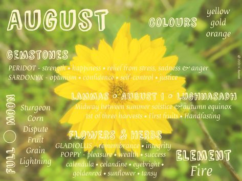 Magickal attributes & correspondences for August August Magical Correspondences, August Correspondences, Moons Of The Year, Witchy Bullet Journal, August Full Moon, Wicca Holidays, Goddess Ideas, Hello New Month, Pagan Quotes