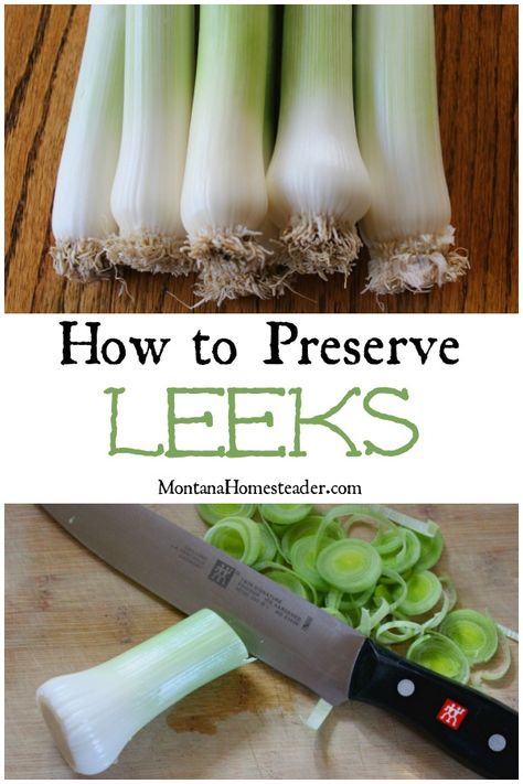 How to make and can Rose Hip Jelly Canning Leeks, How To Preserve Leeks, Dehydrated Leeks, Storing Leeks, Freeze Leeks, Freeze Veggies, Garden Preservation, Preserve Vegetables, Freezing Veggies