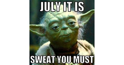 Funny July Memes 2022 - enjoy memes about the hot month of July. From fun in the sun to the drench of the heat, here is the memes about July humor for sharing. Yoda Quotes, Yoda Funny, Star Wars Film, Good Comebacks, Star Wars Yoda, Make You Cry, Image Macro, Bones Funny, Make Me Smile