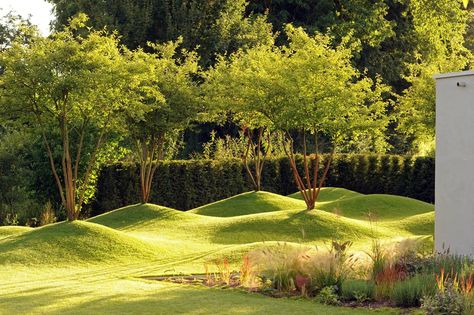 Lawn Sculpture, Amelanchier Lamarckii, Landscape And Urbanism Architecture, Landscape And Urbanism, Garden Design Plans, Garden Types, Landscape Architecture Design, Garden Architecture, Garden Lawn