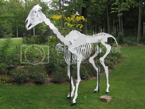 Prop Showcase: - Our skeleton horse prop done | Halloween Forum Skeleton Horse, Horse Skull, Thanks For The Compliment, Halloween Forum, Model Magic, Neck Bones, Halloween Photos, Tombstone, Just Amazing