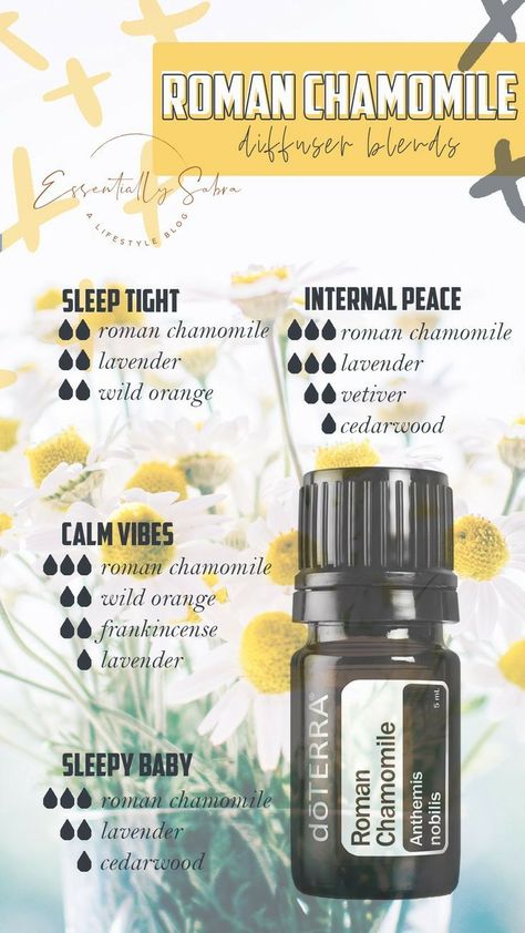 Roman Chamomile Diffuser Blends, Chamomile Diffuser Blends, Doterra Roman Chamomile, Oils For Energy, Roman Chamomile Essential Oil, German Chamomile, Doterra Recipes, Doterra Diffuser, Thyme Essential Oil