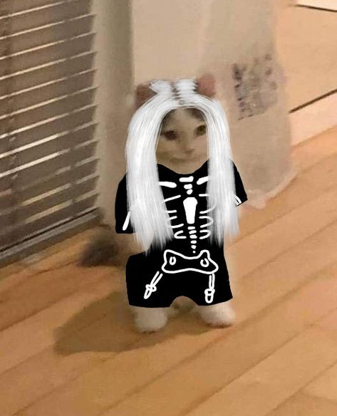 Silly Phoebe Bridgers, Phoebe Bridgers Icons Aesthetic, Phoebe Bridgers Merch Outfit, Phoebe Bridgers Pfps, Phoebe Bridgers Profile Pic, Snoopy Phoebe Bridgers, Phoebe Bridgers Funny Pictures, Phoebe Bridgers Reaction Pic, Boygenius Pfp