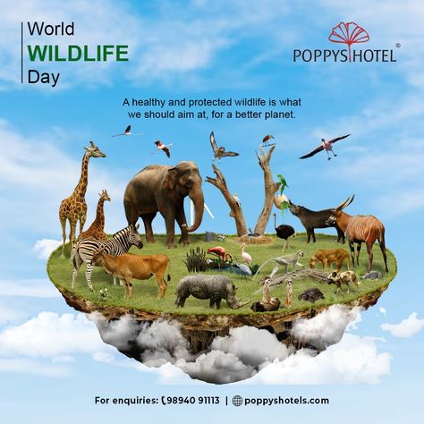 The theme of World Wildlife Day 2023 is ‘Partnerships for Wildlife Conservation’. Let us get together in making the world a better place to live in! Celebrating world wildlife day at POPPYS HOTELS. . . For enquiries: 9894091113 Https://poppyshotels.com . . . #wildlifeday #wildlife #worldwildlifeday #nature #wildlifephotography #conservation #wildlifeconservation #photography #naturelovers #nationalwildlifeday#PoppysHotels #PoppysGroup #Hotels #Resorts #PoppysGroupofHotels World Wildlife Day, Wildlife Day, Graphic Design Packaging, Place To Live, Madurai, Best Places To Live, Design Packaging, Wildlife Conservation, Day Wishes