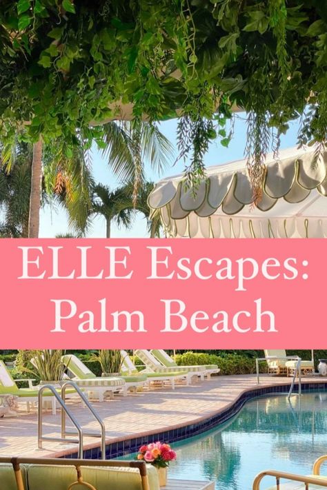 There’s something about Palm Beach. Maybe it’s the namesake trees. Or the prime people-watching. For your next trip down south, we rounded up where the snowbirds eat, drink, and sunbathe. Written by ELLE. #ThePalmBeaches Vintage Palm Springs, Royal Poinciana, Breakers Palm Beach, Palm Beach Decor, The Colony Hotel, Palm Beach Florida, The Breakers, Down South, Mediterranean Style