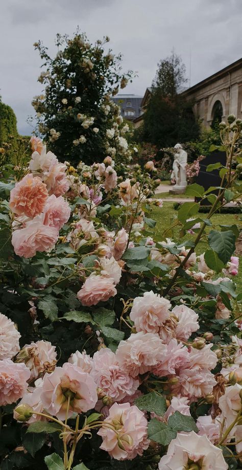 Romantic Phone Wallpaper, Italian Aesthetic Wallpaper, Romantic Gardens, Catholic Aesthetic, Flower Romantic, Spring Board, Aesthetic Natural, Aesthetic Landscape, Fairytale Aesthetic