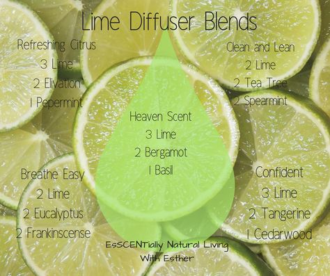 Lovely blends all using lime essential oil Lime Diffuser Blends, Lime Essential Oil, Diffuser Blends, Natural Living, Tea Tree, Essential Oil, Essential Oils