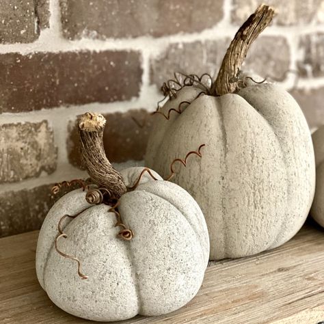 DIY Concrete Pumpkins - Cali Girl In A Southern World Cement Pumpkins, Concrete Pumpkins, Pumpkins Diy, Decoration Beton, Fall Pumpkin Crafts, Concrete Bowl, Concrete Diy Projects, Diy Concrete, Diy Bricolage