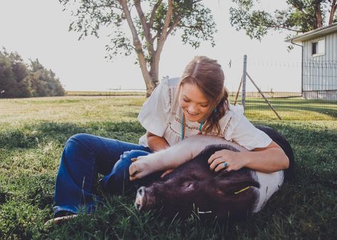 Livestock Senior Pictures Pigs, Senior Pictures With Pigs, Senior Livestock Pictures, Livestock Senior Pictures, Barn Senior Pictures, Showing Pigs, Cowgirl Senior Pictures, Farm Senior Pictures, Livestock Photography