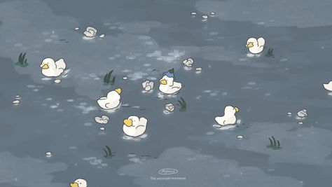 Duck Desktop Wallpaper, Desktop Wallpaper Hd 1080p, Duck Wallpaper, Homescreen Wallpaper, Matching Pfps, Cute Wallpaper Backgrounds, Cute Illustration, Ducks, Desktop Wallpaper