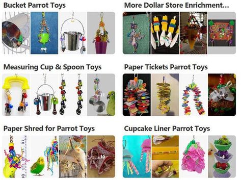 Parrot Enrichment Diy, Diy Bird Toys Conure, Diy Bird Toys Parakeets, Diy Cockatiel Toys, Diy Budgie Toys, Jenday Conure, Bird Enrichment, Parrot Enrichment, Cockatoo Toys