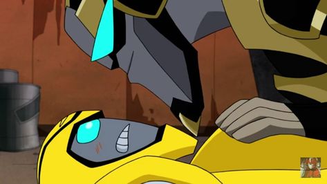 Bumblebee X Prowl, Prowl X Bumblebee, Transformers Starscream, Transformers Animated, Transformers Memes, Dragon Cookies, Transformers Funny, Transformers Bumblebee, Transformers 3