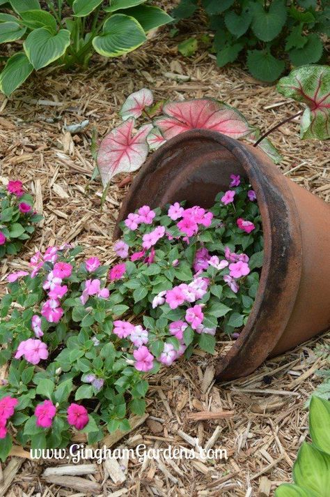 I love adding creative or whimsical elements to my yard and gardens. One super easy way to do that is with a tipped or spilled planter. There are all sorts of examples on the web, but I’m going to show you step-by-step how it’s done. Supplies:[list][*]Flower Pot – anything will do. Even a cracked or broken pot will work. The bigger the better.[/*][*]Flowers – annual flowers work best. Flowers that work well for tipped pots include: petunias, calibrochia, supertunias and marigolds (shor… Backyard Flowers Beds, Whimsical Garden Art, Backyard Flowers, Container Gardening Flowers, Meteor Garden 2018, Garden Makeover, Annual Flowers, Whimsical Garden, Kew Gardens