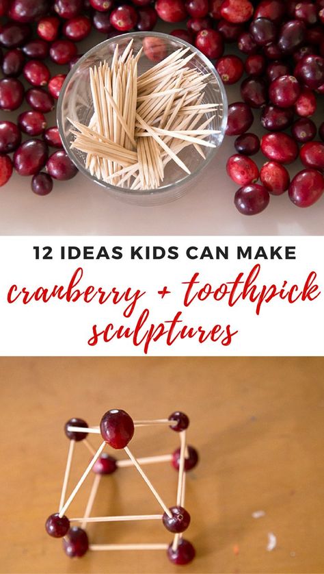 Cranberry and toothpick sculptures are a fun and easy construction project for kids. Try these 12 building ideas this holiday season for a festive activity! Toothpick Sculpture, Toothpick Crafts, Nature Homeschool, Artful Parent, Makerspace Ideas, Nature Education, Winter Projects, Christmas Tree Star, Project For Kids