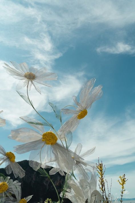 Daisy Themed Wedding, Wedding In Thailand, Beach Wedding Arch, Thailand Wedding, Daisy Wedding, Diy Arrangements, Paper Plants, Wedding Party Ideas, Flower Studio