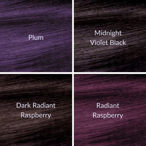 Violet Black Hair, Shades Of Purple Hair, Plum Hair Dye, Dark Plum Hair, Pelo Color Borgoña, Lady Locks, Ombré Balayage, Ion Color Brilliance, Violet Hair Colors