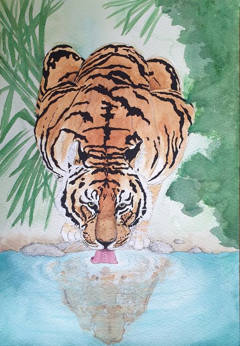 Tiger Drinking Water Drawing, Tiger Drinking Water, Tiger In Water, Tiger Conservation, Concept Drawing, Water Watercolor, Concept Draw, Water Illustration, Watermelon Sugar