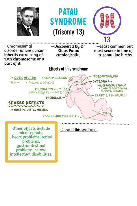 Patau syndrome Design - #1982667 Achenbach Syndrome, Patau Syndrome, Edwards Syndrome, Animation Maker, Mind Map, Graphic Designs, Created By, Mindfulness, For Free