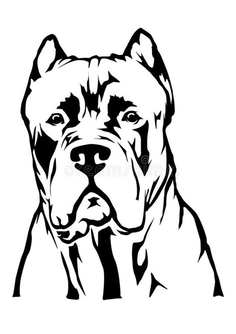 Cane Corso vector silhouette stock illustration Cane Corso Dog Tattoo, Came Corso Tattoo, Cane Corso Dog Drawing, Cane Corso Drawing Easy, Cane Corso Silhouette, Cane Corso Svg, Cane Corso Tattoo Ideas, Cane Corso Tattoo, Cane Corso Drawing