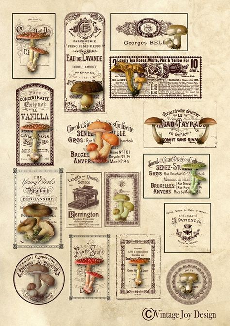 Scrapbooking Materials, Shop Sticker, Printable Vintage Art, Papel Vintage, Free Vintage Printables, Scrapbook Printing, Miniature Printables, Journal Ephemera, Printable Scrapbook Paper