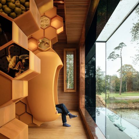 Invisible Studio installs Beezantium for bees at The Newt in Somerset hotel Floating Pavilion, Climate Adaptation, Clad Home, Shaped Windows, Bee Hotel, Bee Colony, Studio Build, Hotel Owner, Bee House