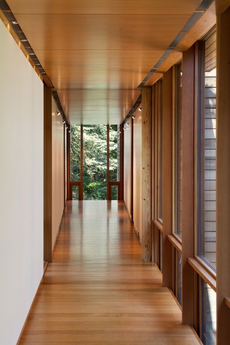 Hallway and Medium Hardwood Floor To minimize energy loss, the architects wrapped the house with highly efficient spray-in polyurethane foam insulation made with recycled plastic bottles by Lapolla. Photo 16 of 17 in This Striking Net-Zero Home Wraps Around a Serene Pond Modern Hallway Ideas, Home Greenhouse, Open Dining Room, Colored Ceiling, Pond Design, Modern Hallway, Diy Greenhouse, Passive House, Types Of Rooms