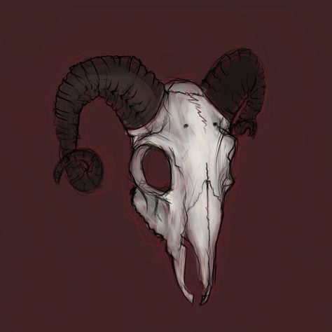 Practice drawing of goat skull. Hee i decided to  draw goat skull fro different perspectives and with different horn sizes and shapes. Skull Hand Tattoo, Goat Horns, Goat Skull, Ram Skull, Practice Drawing, Object Drawing, Dagger Tattoo, Skull Hand, Skull Drawing