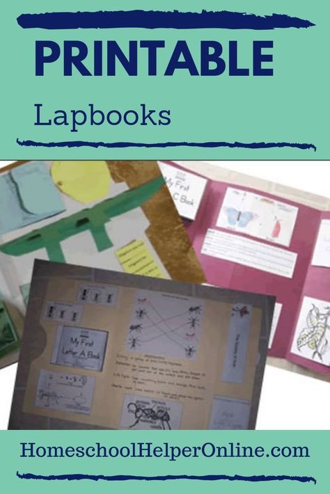 Free printable lapbooks in science, social studies, language arts, math, art, and music.  There are even free printable lapbook templates.  #printable #homeschool #lapbook Homeschool Lapbooks, Lapbooks Free, Science Lapbooks, Kindergarten Science Curriculum, School Website Templates, Learning Schedule, Lap Book Templates, Science Unit Studies, Learning Websites For Kids