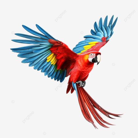 scarlet macaw parrot flying isolated on white background Night Paintings, Parrot Flying, Scarlet Macaw, Macaw Parrot, Paint Night, Ad Background, Holiday Flyer, Night Painting, Background White