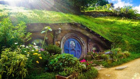 House Home Quirky, #House, #Quirky, #Home Case Sotterranee, Earth Sheltered Homes, Casa Hobbit, Bio Design, Abel Tasman, Earth Sheltered, Movie Locations, Underground Homes, Fantasy Maps