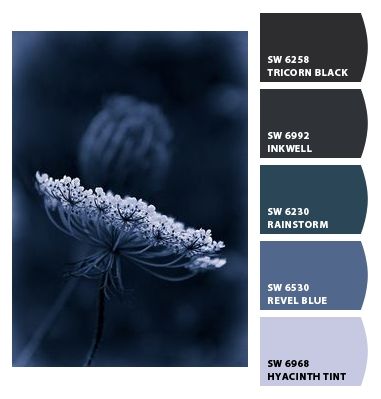 Paint colors from Chip It! by Sherwin-Williams Hyacinth Tint Sherwin Williams, Sherwin Williams Blue, Colour Crush, Blue Paint Colors, Sherwin Williams Paint Colors, Color Guide, Photo Editing Lightroom, Hearth And Home, Color Crush