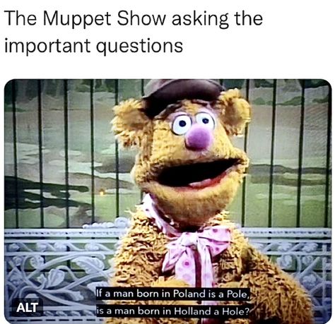 Funny Muppets Memes, Muppet Memes Hilarious, Muppets Tumblr, Sesame Street Funny, Muppet Meme, Muppets Fanart, Muppets Quotes, Muppets Funny, Funny Kermit